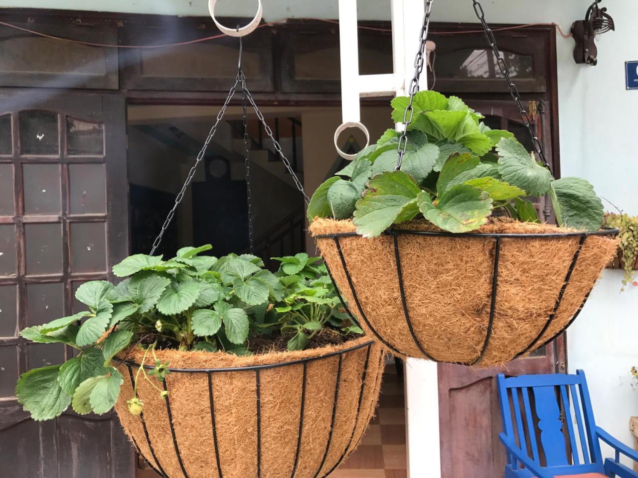 Dalat Coffee House Homestay Da Lat Exterior photo