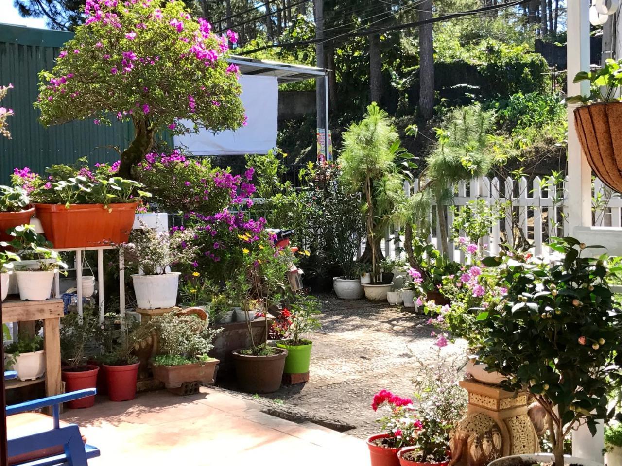 Dalat Coffee House Homestay Da Lat Exterior photo